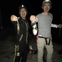 ゴミまみれでした